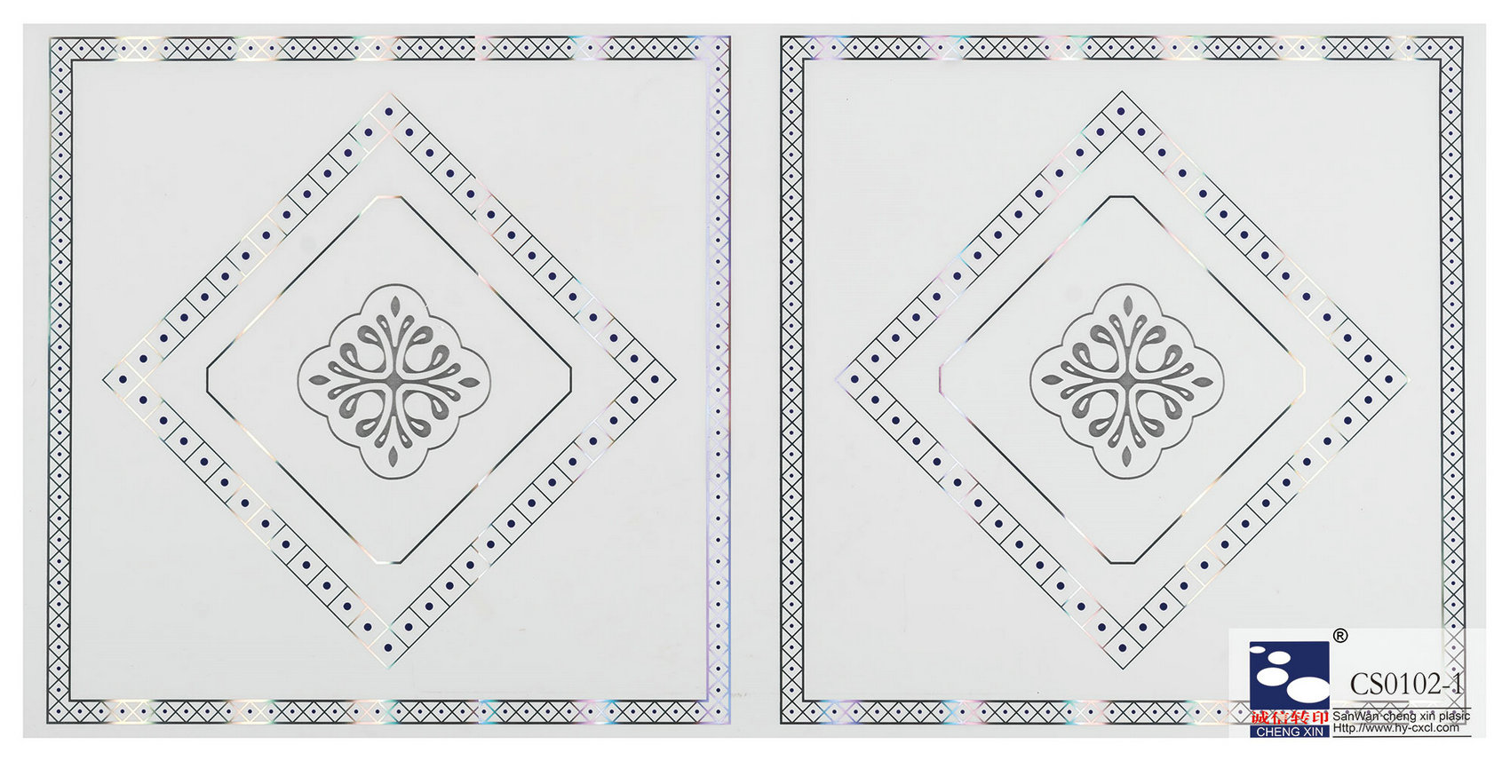 30-CS0102-1