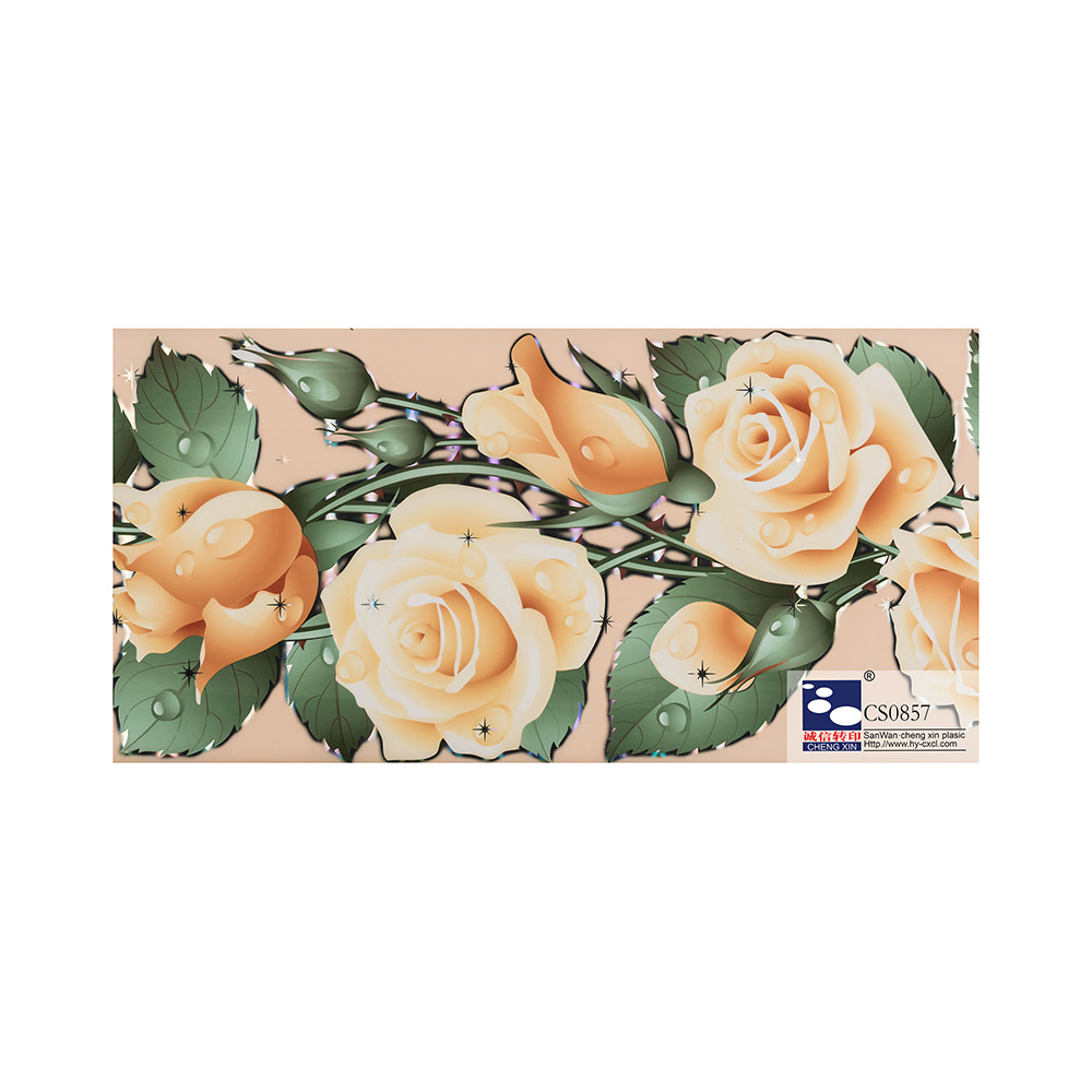 Wholesale 2021 new design pvc color printing ceiling bronzing foil composite pvc film CS0857