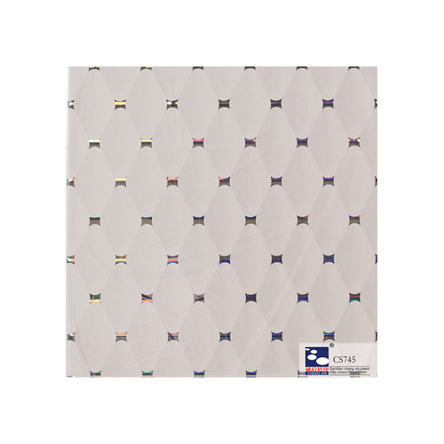 Popular Modern Design Hot Stamping Foil In Roll For Plastic Wall Panels CS745
