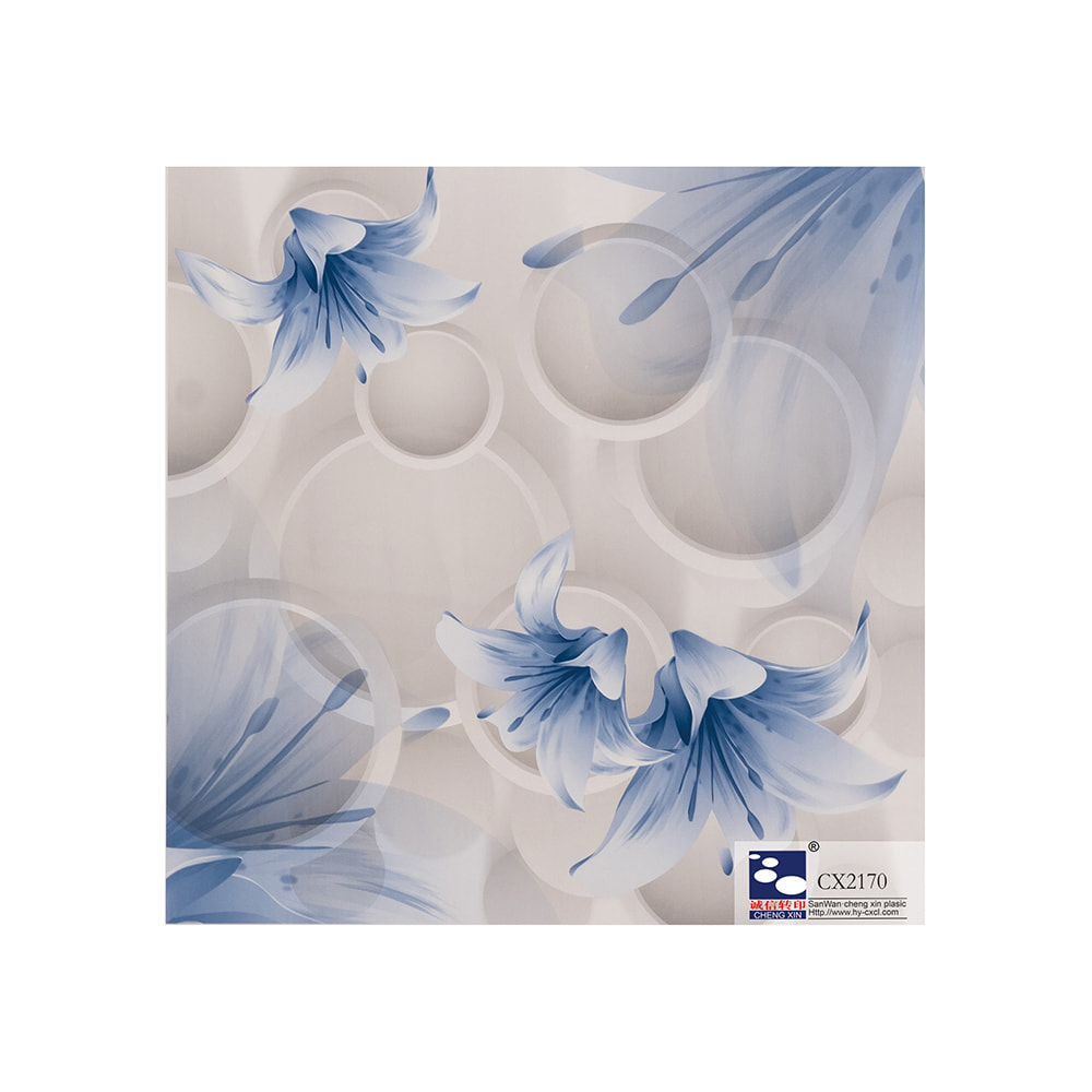 Simple laser and flower hot stamping foil suppliers for pvc panel CX2170